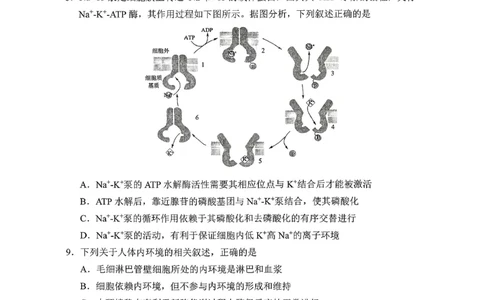 生物试卷-长春市2826届高三质量监测（一）(1)_2026年1月_260107吉林省长春市2026届高三年级质量检测（一）（长春一模）（全科）