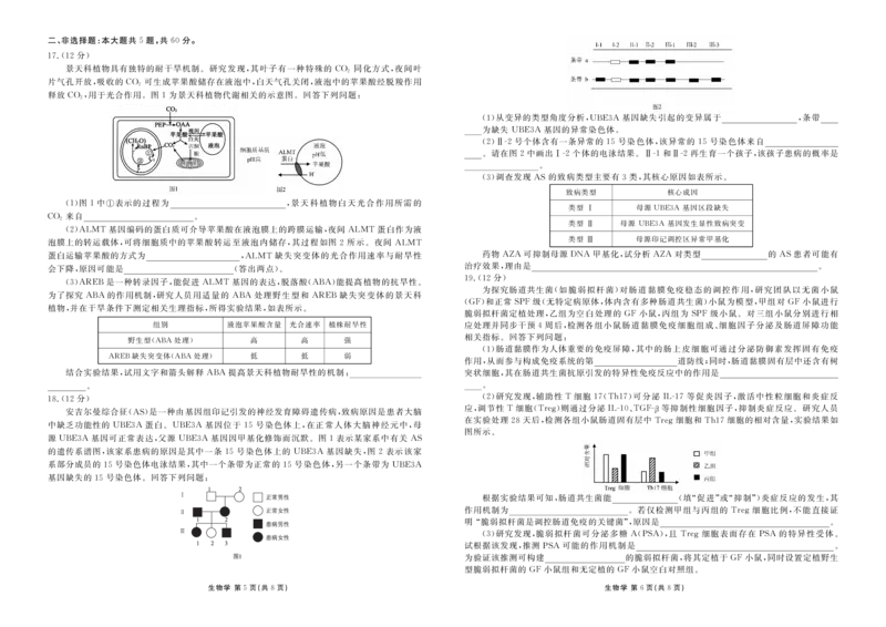 高三生物正文（2026届高三年级1月份适应性测试）(1)_2026年1月_260129衡水金卷2026届高三年级1月份适应性测试（全科）_高三生物电子文件（2026届高三年级1月份适应性测试）
