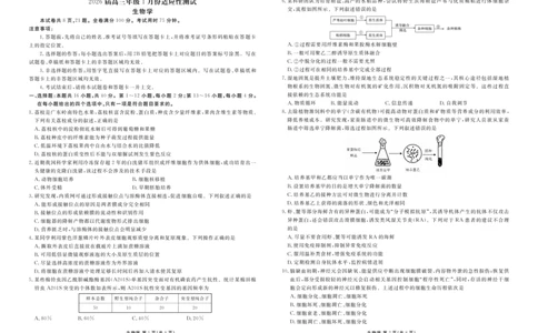 高三生物正文（2026届高三年级1月份适应性测试）(1)_2026年1月_260129衡水金卷2026届高三年级1月份适应性测试（全科）_高三生物电子文件（2026届高三年级1月份适应性测试）