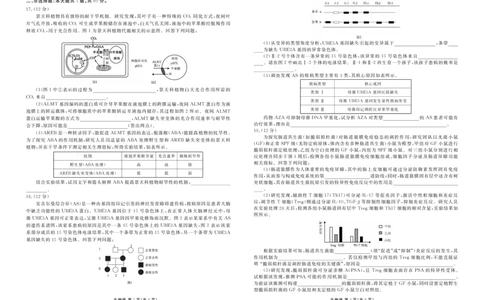 高三生物正文（2026届高三年级1月份适应性测试）(1)_2026年1月_260129衡水金卷2026届高三年级1月份适应性测试（全科）_高三生物电子文件（2026届高三年级1月份适应性测试）