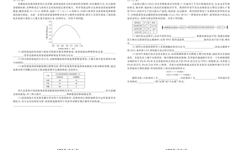 高三生物正文（2026届高三年级1月份适应性测试）(1)_2026年1月_260129衡水金卷2026届高三年级1月份适应性测试（全科）_高三生物电子文件（2026届高三年级1月份适应性测试）