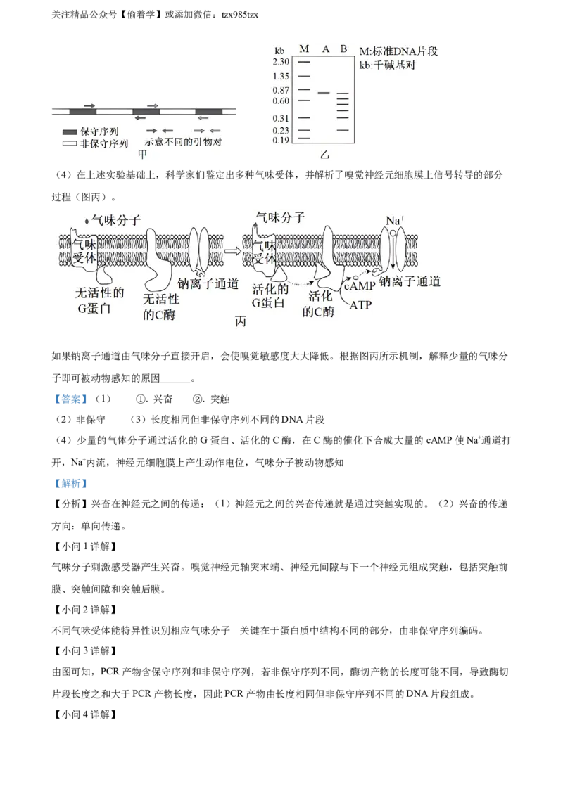 精品解析：2024年北京高考真题生物试卷（解析版）_高考真题全网收集_生物学_精品解析：2024年新高考北京卷生物高考真题解析（参考版）