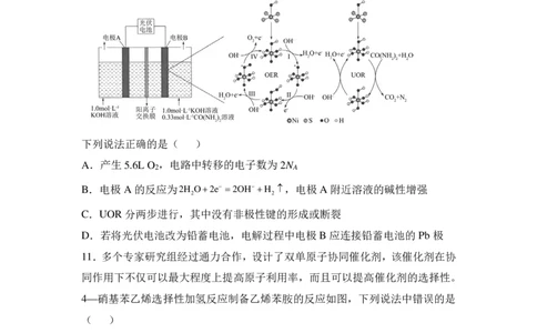 湖南省名校联考2024-2025学年高三上学期10月联考化学试题+答案_11月_241103湖南省名校联考2024-2025学年高三上学期10月月考