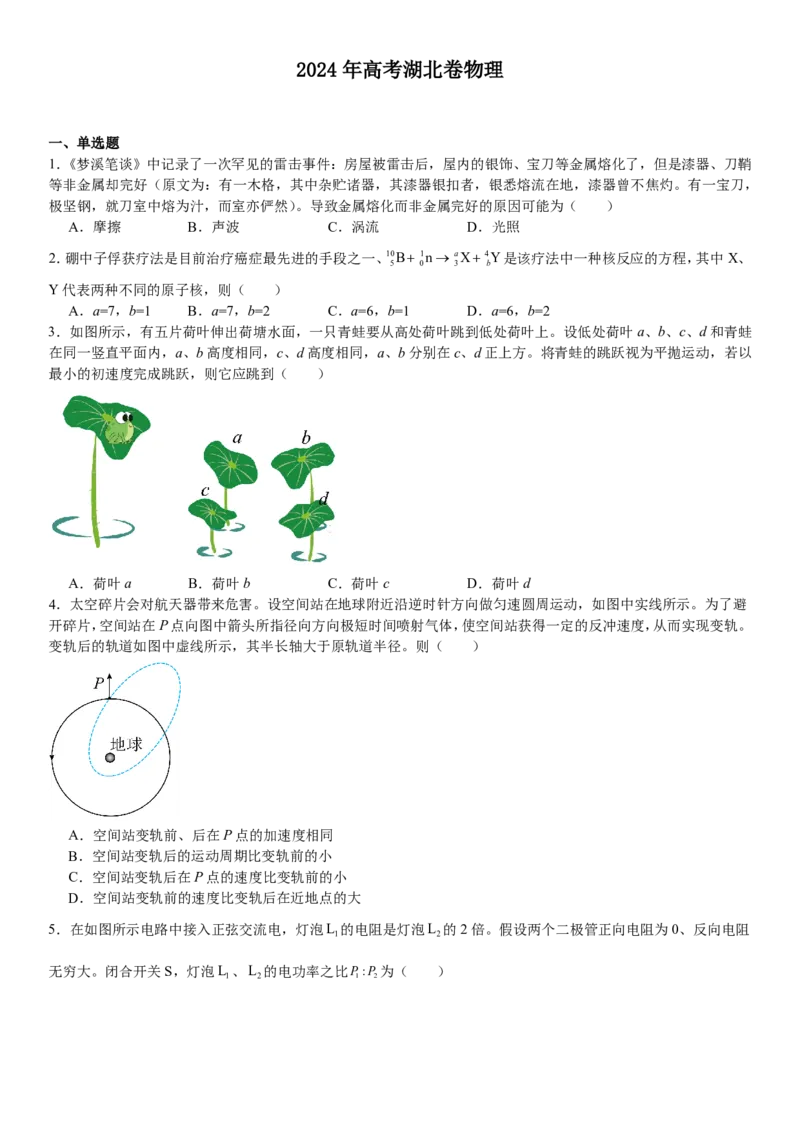 湖北物理-试题-p_近10年高考真题汇编（必刷）_2024年高考真题_高考真题（截止6.29）_湖北卷副科（6科全）