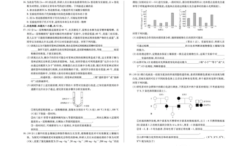 陕西、山西省（专版）2025-2026学年（上）高三年级天一小高考（一）生物试卷_2025年10月_12026年试卷教辅资源等多个文件