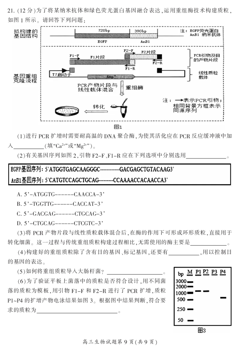 2024届湖南省郴州市高三上学期一模生物(1)_2023年10月_01每日更新_27号_2024届湖南省郴州市高三上学期一模