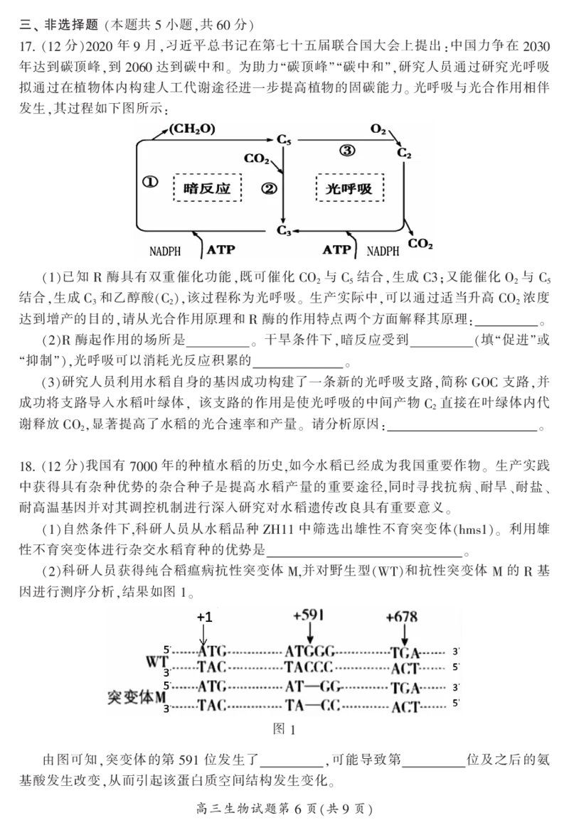2024届湖南省郴州市高三上学期一模生物(1)_2023年10月_01每日更新_27号_2024届湖南省郴州市高三上学期一模