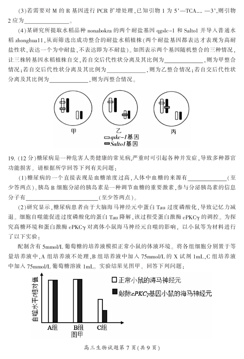 2024届湖南省郴州市高三上学期一模生物(1)_2023年10月_01每日更新_27号_2024届湖南省郴州市高三上学期一模
