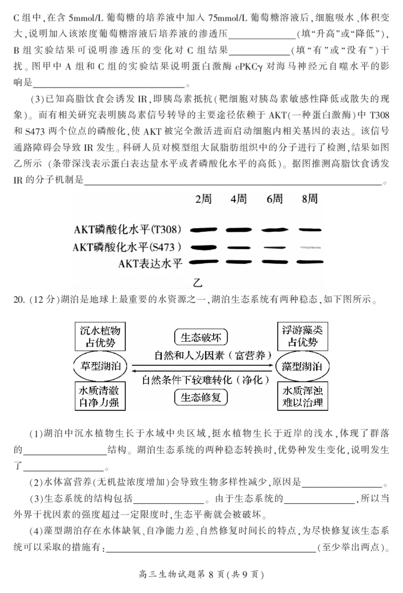 2024届湖南省郴州市高三上学期一模生物(1)_2023年10月_01每日更新_27号_2024届湖南省郴州市高三上学期一模