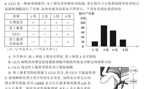 2024届湖南省郴州市高三上学期一模生物(1)_2023年10月_01每日更新_27号_2024届湖南省郴州市高三上学期一模