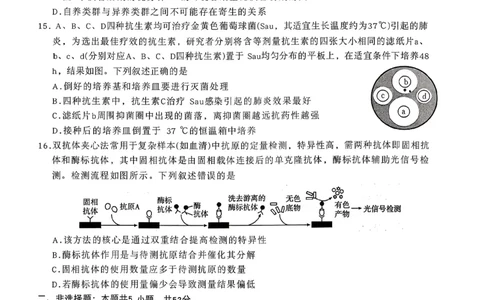高三联考生物_2025年11月_251126贵州省金太阳2026届高三上学期11月期中联考（25-107C）_贵州省2026届高三上学期11月期中联考生物+答案_贵州省部分学校2025-2036学年11月期中联考高三生物学