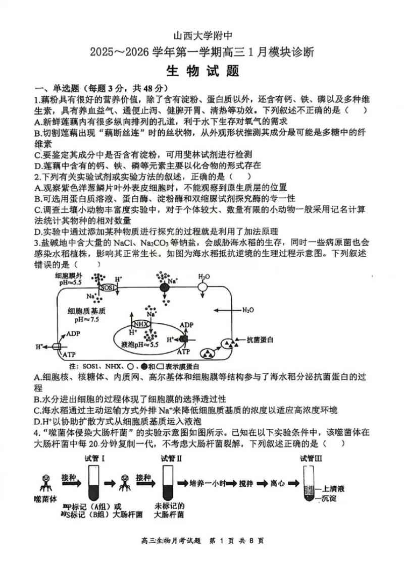 生物试题山西大学附中25-26学年高三1月考(1)_2026年1月_260115山西大学附属中学2025-2026学年高三1月月考（全科）