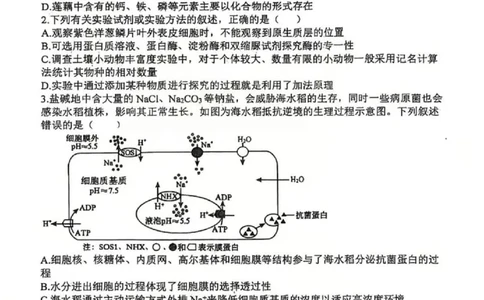生物试题山西大学附中25-26学年高三1月考(1)_2026年1月_260115山西大学附属中学2025-2026学年高三1月月考（全科）