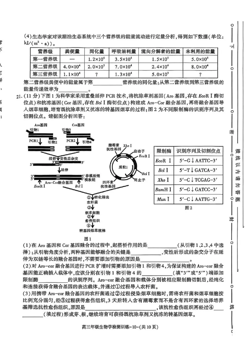 陕西省榆林市2026届高三年级检测训练生物(1)_2026年1月_260127陕西省榆林市2026届高三年级检测训练（榆林二模）（全科）