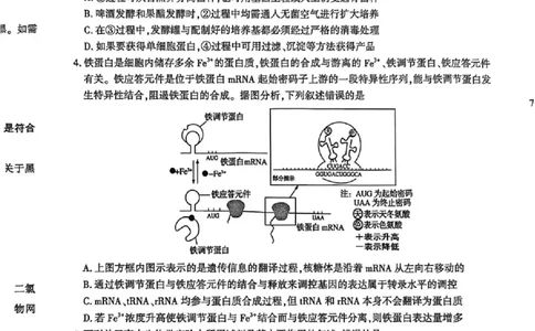 陕西省榆林市2026届高三年级检测训练生物(1)_2026年1月_260127陕西省榆林市2026届高三年级检测训练（榆林二模）（全科）