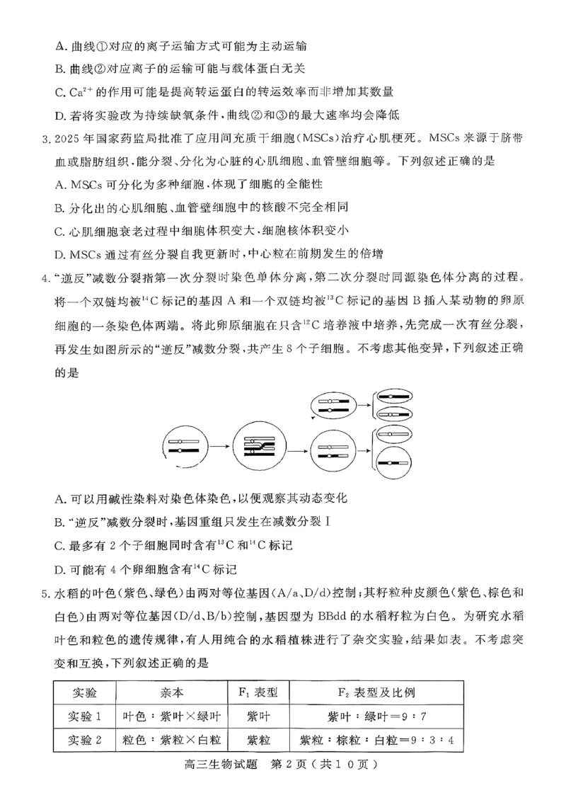 生物试卷-山东省济宁市2026届高三第一学期期末质量检测（济宁一模）(1)_2026年1月_260109山东省济宁市2026届第一学期高三质量检测期末考试（全科）