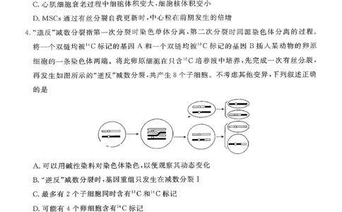 生物试卷-山东省济宁市2026届高三第一学期期末质量检测（济宁一模）(1)_2026年1月_260109山东省济宁市2026届第一学期高三质量检测期末考试（全科）