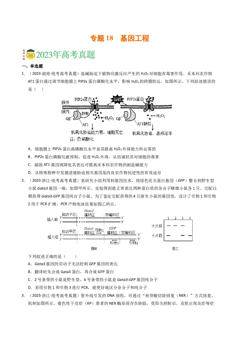 专题18基因工程（学生卷）_近10年高考真题汇编（必刷）_十年（2014-2024）高考生物真题分项汇编（全国通用）_2023年高考真题和模拟题生物分项汇编（全国通用）