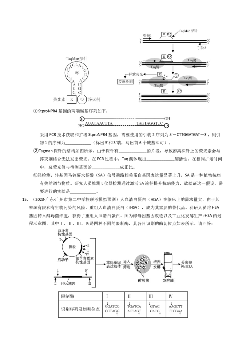 专题18基因工程（学生卷）_近10年高考真题汇编（必刷）_十年（2014-2024）高考生物真题分项汇编（全国通用）_2023年高考真题和模拟题生物分项汇编（全国通用）