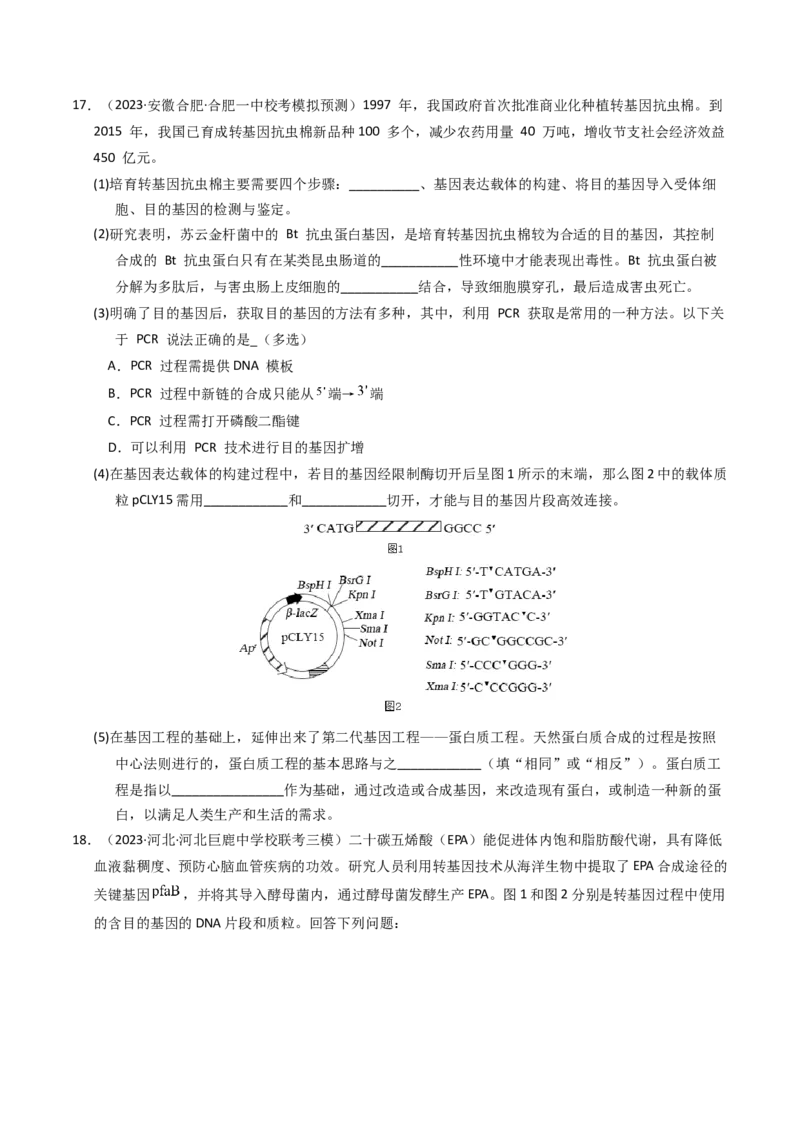 专题18基因工程（学生卷）_近10年高考真题汇编（必刷）_十年（2014-2024）高考生物真题分项汇编（全国通用）_2023年高考真题和模拟题生物分项汇编（全国通用）