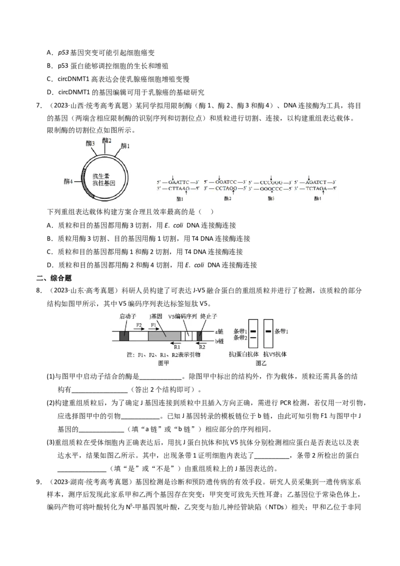 专题18基因工程（学生卷）_近10年高考真题汇编（必刷）_十年（2014-2024）高考生物真题分项汇编（全国通用）_2023年高考真题和模拟题生物分项汇编（全国通用）