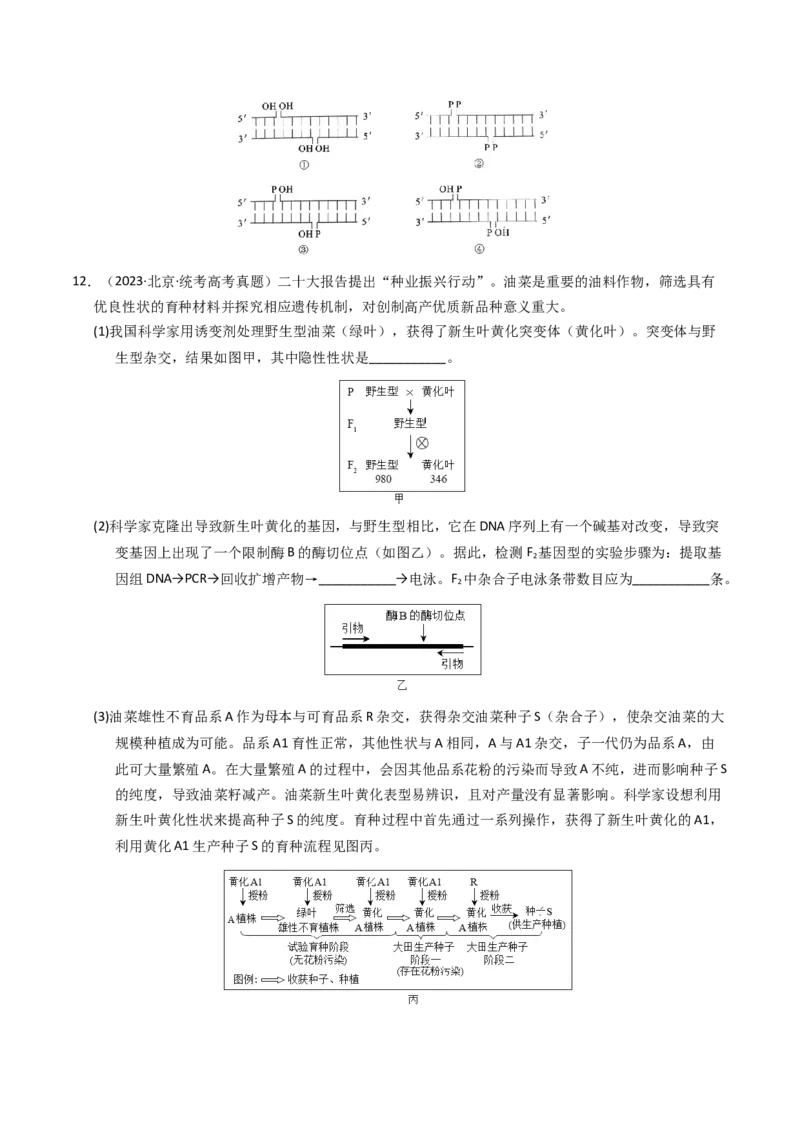 专题18基因工程（学生卷）_近10年高考真题汇编（必刷）_十年（2014-2024）高考生物真题分项汇编（全国通用）_2023年高考真题和模拟题生物分项汇编（全国通用）