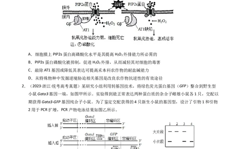 专题18基因工程（学生卷）_近10年高考真题汇编（必刷）_十年（2014-2024）高考生物真题分项汇编（全国通用）_2023年高考真题和模拟题生物分项汇编（全国通用）