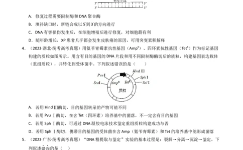 专题18基因工程（学生卷）_近10年高考真题汇编（必刷）_十年（2014-2024）高考生物真题分项汇编（全国通用）_2023年高考真题和模拟题生物分项汇编（全国通用）