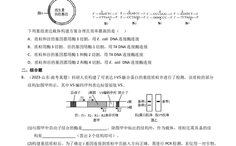 专题18基因工程（学生卷）_近10年高考真题汇编（必刷）_十年（2014-2024）高考生物真题分项汇编（全国通用）_2023年高考真题和模拟题生物分项汇编（全国通用）