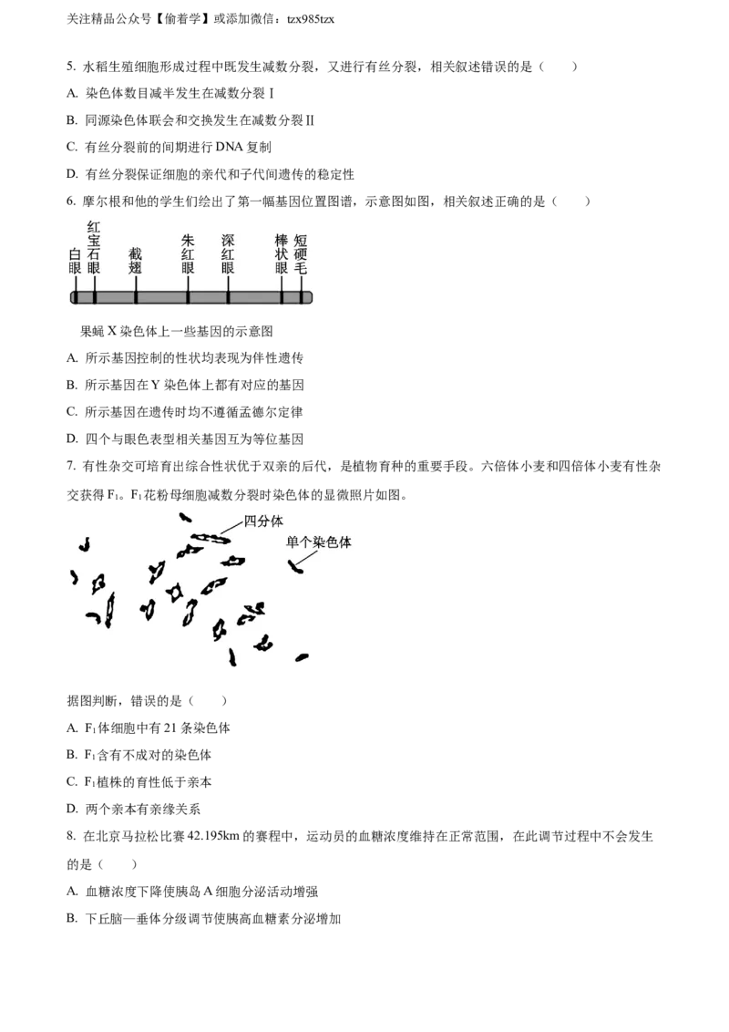 精品解析：2024年北京高考真题生物试卷（原卷版）_高考真题全网收集_生物学_精品解析：2024年新高考北京卷生物高考真题解析（参考版）