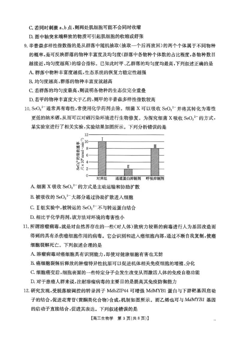 湖南省2026届高三上学期1月期末联考生物(1)_2026年1月_260129金太阳&middot;湖南省2026届高三上学期1月期末联考（全科）