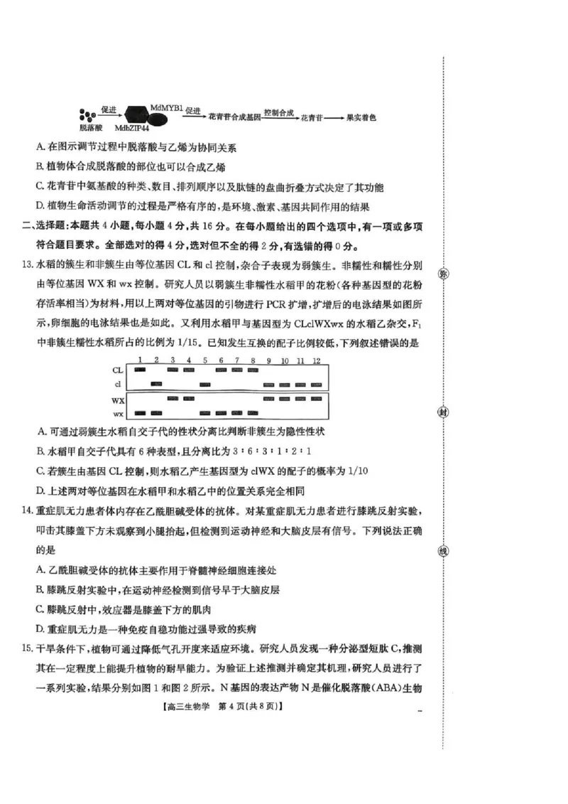 湖南省2026届高三上学期1月期末联考生物(1)_2026年1月_260129金太阳&middot;湖南省2026届高三上学期1月期末联考（全科）