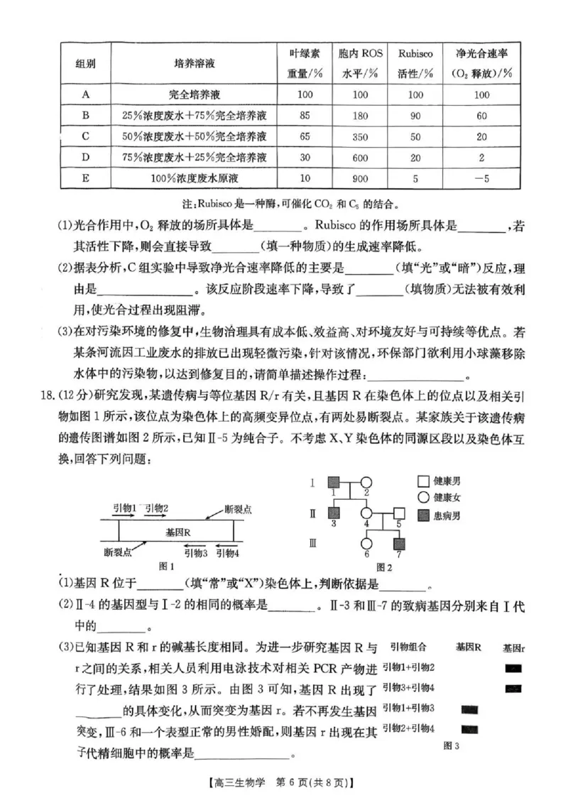 湖南省2026届高三上学期1月期末联考生物(1)_2026年1月_260129金太阳&middot;湖南省2026届高三上学期1月期末联考（全科）