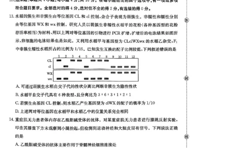 湖南省2026届高三上学期1月期末联考生物(1)_2026年1月_260129金太阳&middot;湖南省2026届高三上学期1月期末联考（全科）