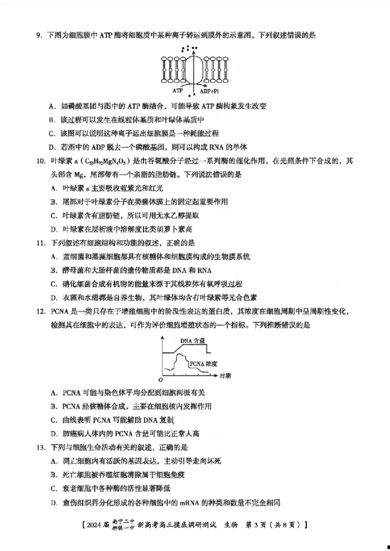 1广西南宁二中柳铁一中生物(1)_2023年9月_029月合集_2024届广西南宁二中、柳铁一中新高考高三摸底调研考试