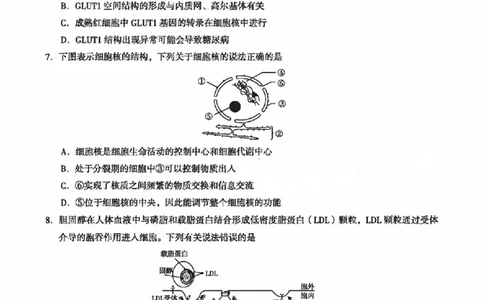 1广西南宁二中柳铁一中生物(1)_2023年9月_029月合集_2024届广西南宁二中、柳铁一中新高考高三摸底调研考试