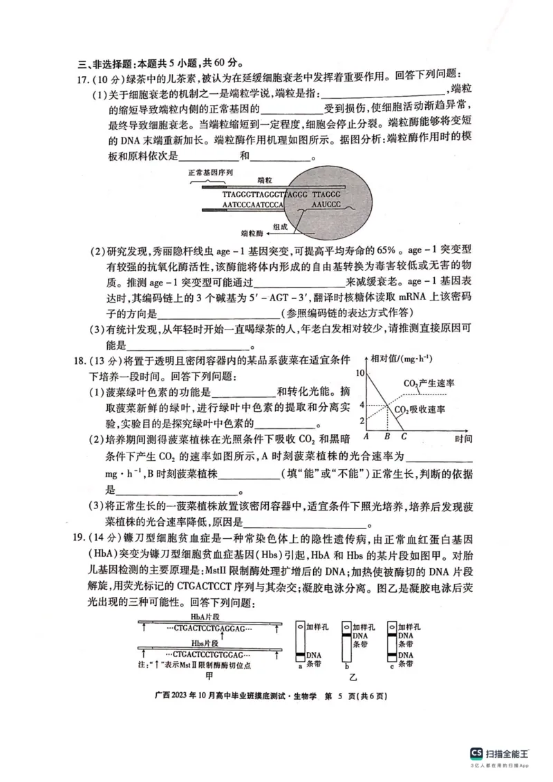 广西2023年10月高中毕业班摸底测试生物试卷(1)_2023年10月_0210月合集_2024届广西省高中毕业班第一次摸底测试_广西省2024届高中毕业班第一次摸底测试生物