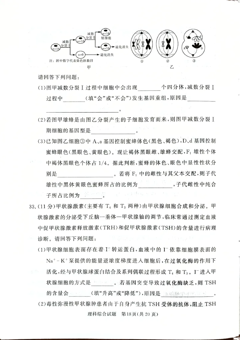 2024届湘豫名校高三下学期考前保温卷理综试题+(1)_2024年6月(1)_026月合集_2024届湘豫名校联考高三下学期考前保温