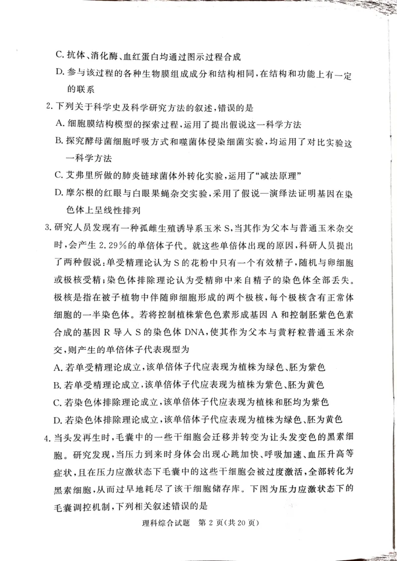 2024届湘豫名校高三下学期考前保温卷理综试题+(1)_2024年6月(1)_026月合集_2024届湘豫名校联考高三下学期考前保温