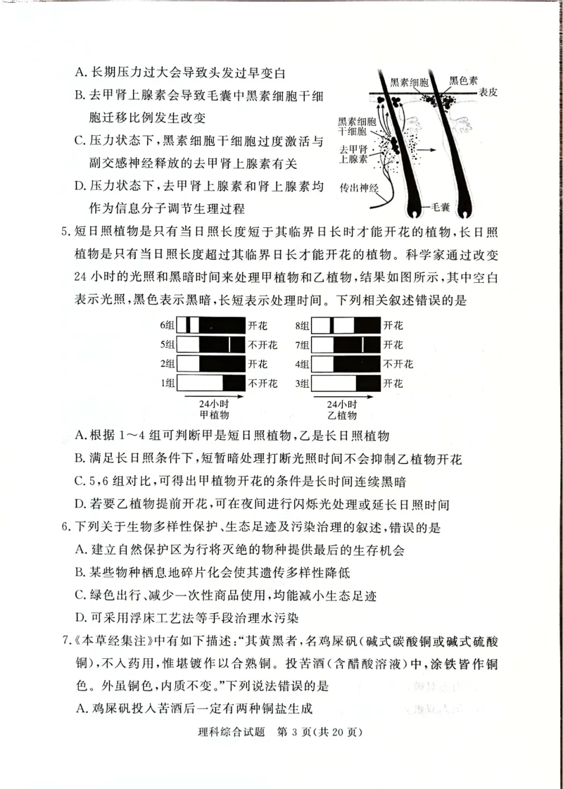 2024届湘豫名校高三下学期考前保温卷理综试题+(1)_2024年6月(1)_026月合集_2024届湘豫名校联考高三下学期考前保温