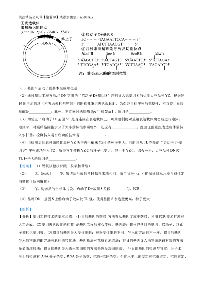 精品解析：2024年重庆新课标高考生物试卷（解析版）_高考真题全网收集_生物学_精品解析：2024年新高考重庆卷生物高考真题解析（参考版）