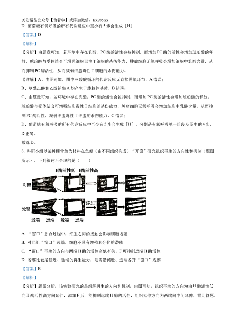 精品解析：2024年重庆新课标高考生物试卷（解析版）_高考真题全网收集_生物学_精品解析：2024年新高考重庆卷生物高考真题解析（参考版）