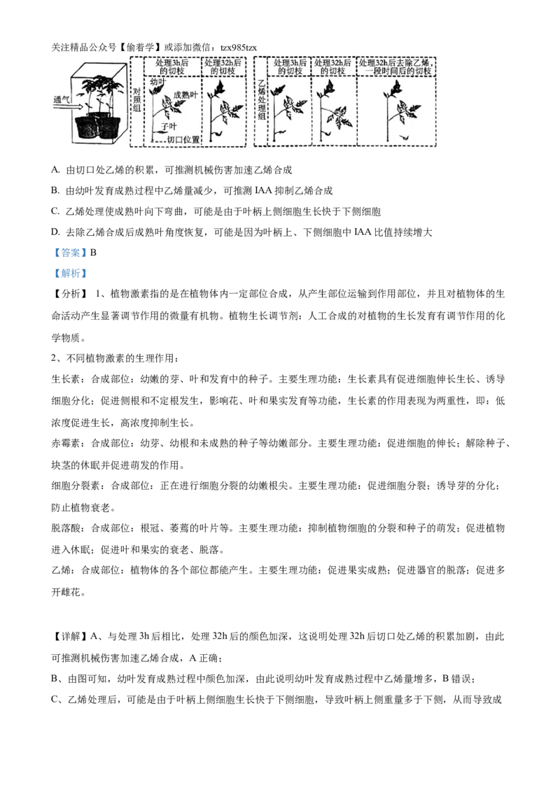 精品解析：2024年重庆新课标高考生物试卷（解析版）_高考真题全网收集_生物学_精品解析：2024年新高考重庆卷生物高考真题解析（参考版）