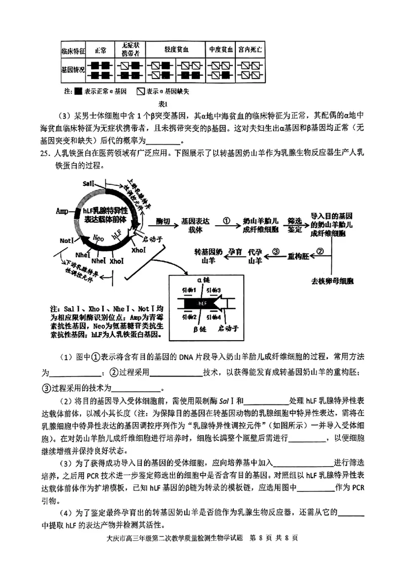 黑龙江省大庆市2025届高三年级第二次教学质量检测生物_2025年1月_250111黑龙江省大庆市2025届高三年级第二次教学质量检测（大庆二模）