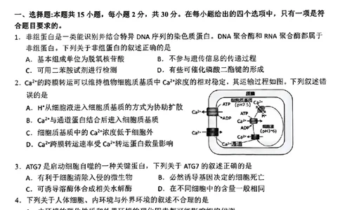 黑龙江省大庆市2025届高三年级第二次教学质量检测生物_2025年1月_250111黑龙江省大庆市2025届高三年级第二次教学质量检测（大庆二模）