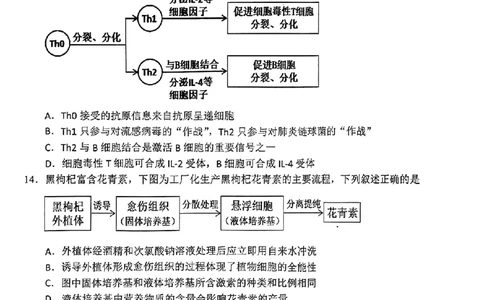 黑龙江省大庆市2025届高三年级第二次教学质量检测生物_2025年1月_250111黑龙江省大庆市2025届高三年级第二次教学质量检测（大庆二模）