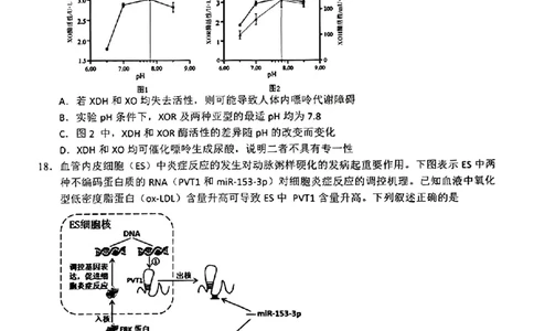 黑龙江省大庆市2025届高三年级第二次教学质量检测生物_2025年1月_250111黑龙江省大庆市2025届高三年级第二次教学质量检测（大庆二模）