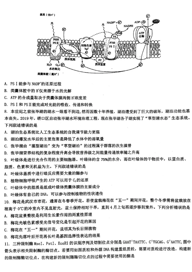 2024届武汉市硚口区高三上学期起点质量检测生物(1)_2023年7月_027月合集_2024届湖北武汉市硚口区高三上学期起点质量检测