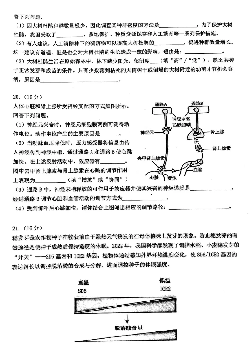 2024届武汉市硚口区高三上学期起点质量检测生物(1)_2023年7月_027月合集_2024届湖北武汉市硚口区高三上学期起点质量检测