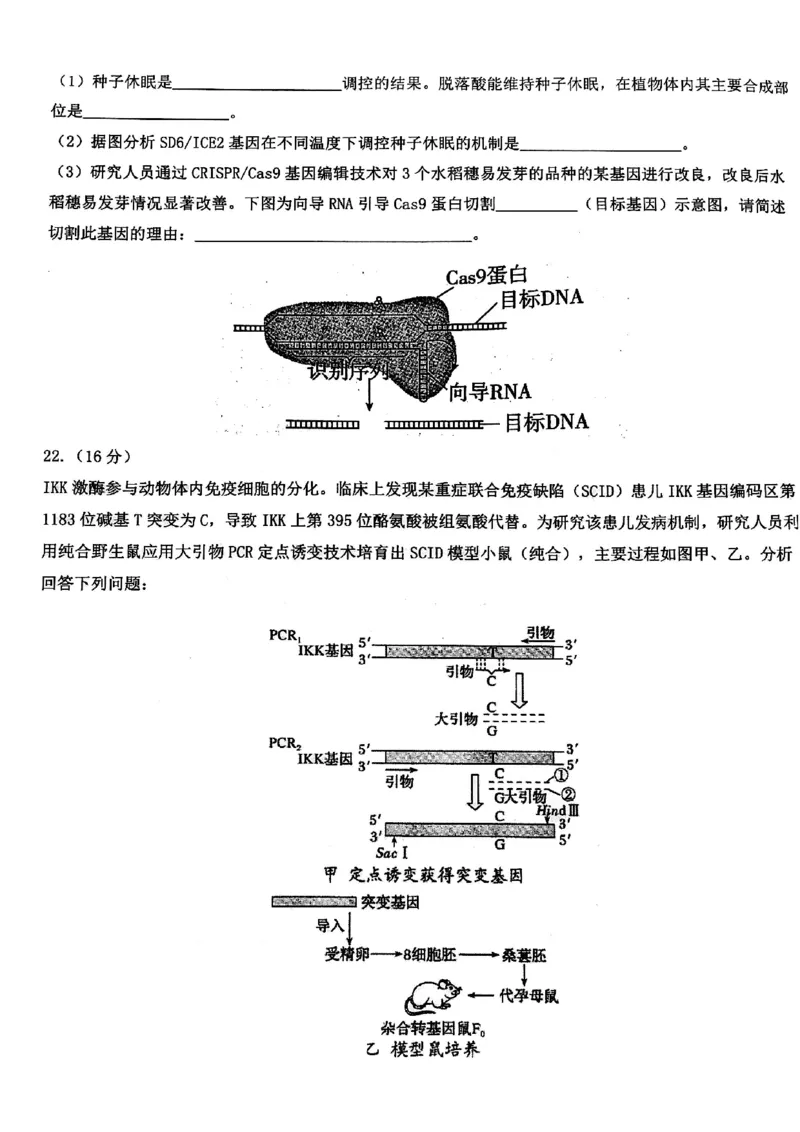 2024届武汉市硚口区高三上学期起点质量检测生物(1)_2023年7月_027月合集_2024届湖北武汉市硚口区高三上学期起点质量检测